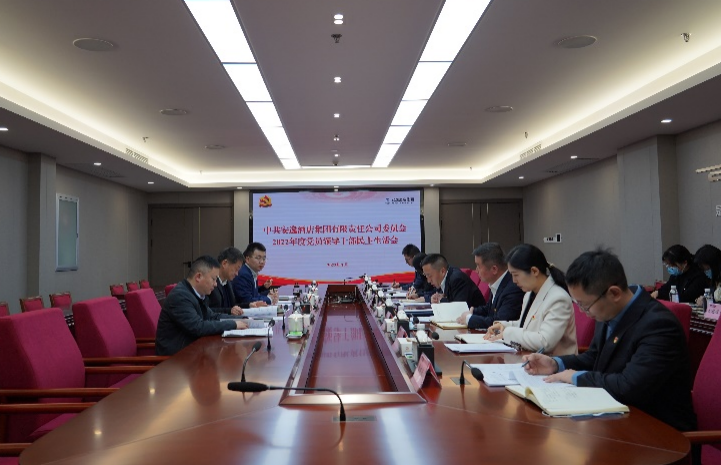尊龙集团党委书记、董事长任丁出席安逸酒店集团2022年度党员领导干部民主生活会